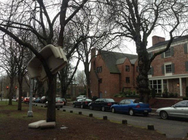Strange Finds And Situations (46 pics)