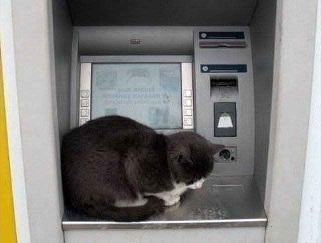Awkward Photos With ATMs (40 pics)