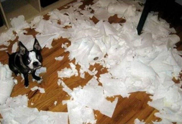 Strange Finds And Situations (46 pics)