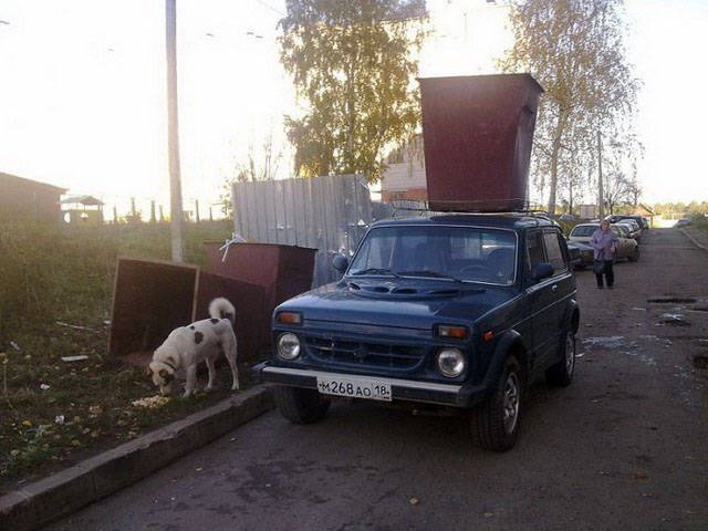 Strange Finds And Situations (46 pics)