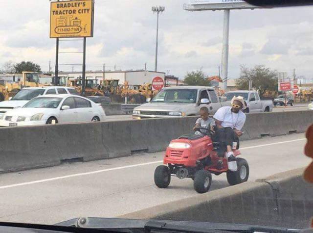 What Is Going On Here? (52 pics)