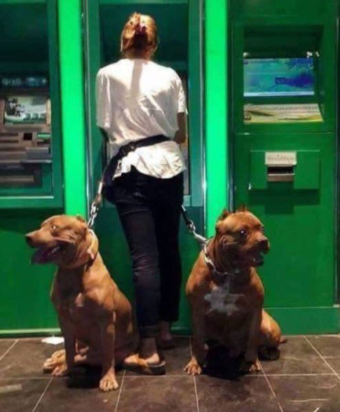Awkward Photos With ATMs (40 pics)
