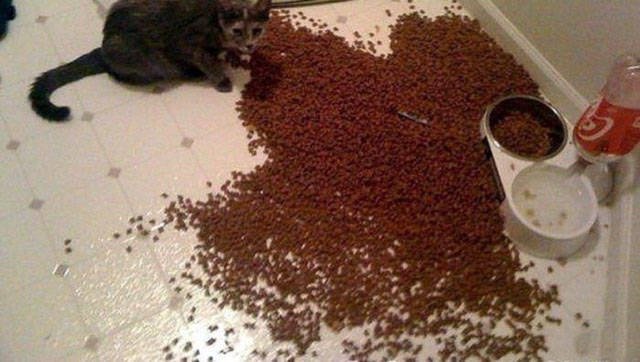 Strange Finds And Situations (46 pics)