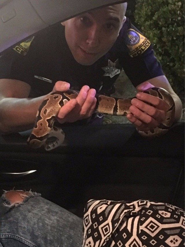 What Is Going On Here? (52 pics)
