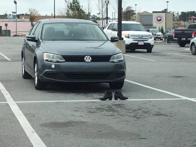 What Is Going On Here? (52 pics)