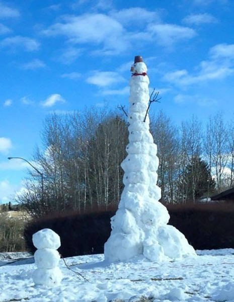 Strange Finds And Situations (46 pics)