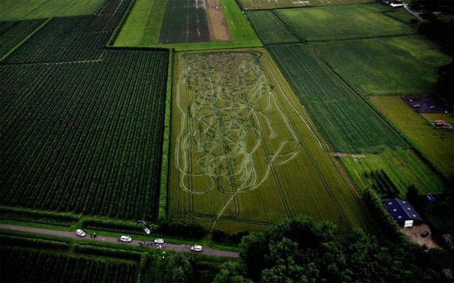 Strange Finds And Situations (46 pics)