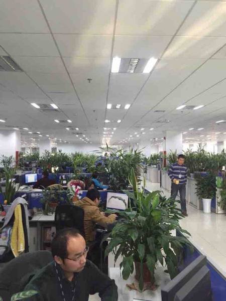 Crazy Photos From China (42 pics)