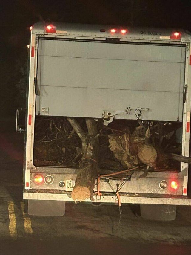 Failed Transports (28 pics)