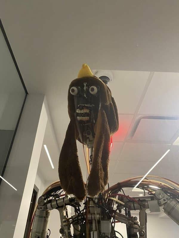 Weird Things (26 pics)
