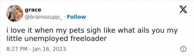 Funny Answers (23 pics)