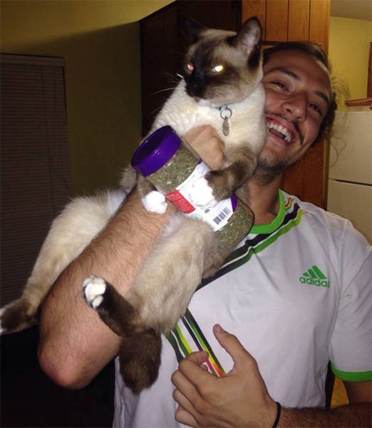 People Share Their Funny Cats (45 pics)