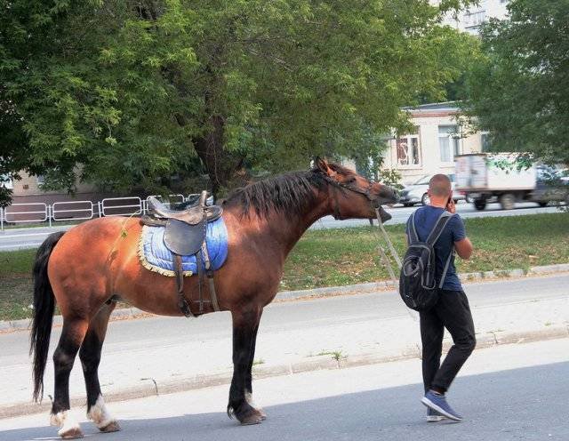 Strange Russians (40 pics)