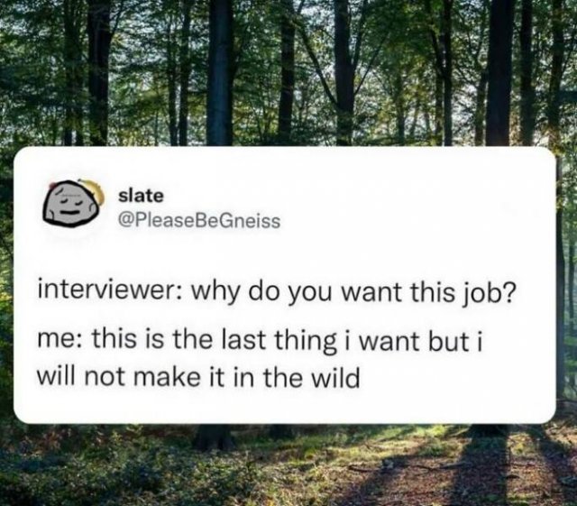 Work Memes (23 pics)