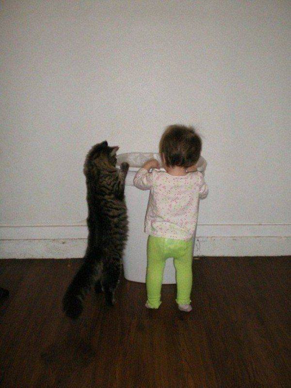 Funny Animals (65 pics)