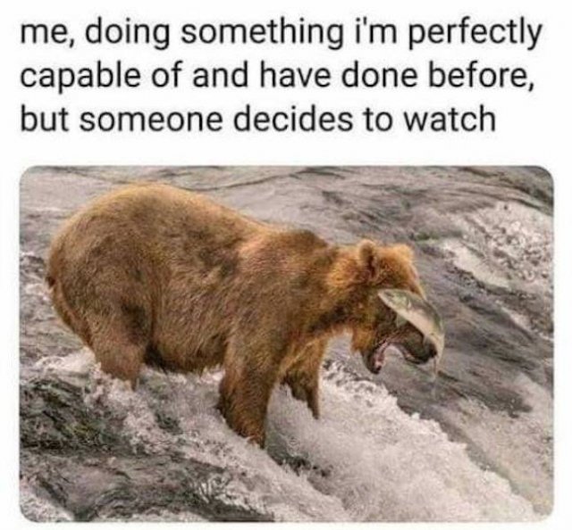 Memes About Pets (29 pics)