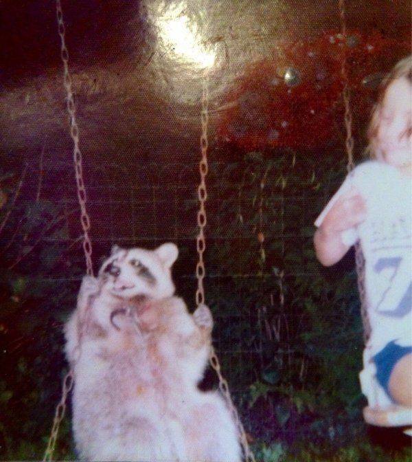Funny Animals (65 pics)