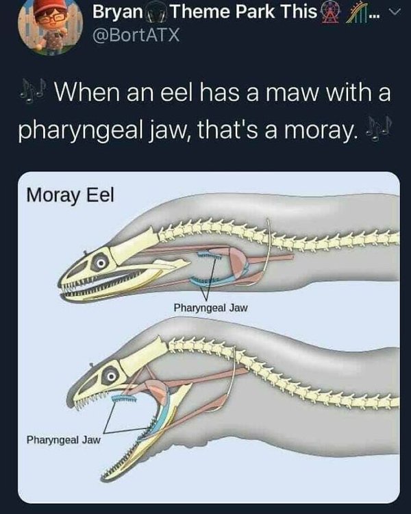 Science Memes (32 pics)