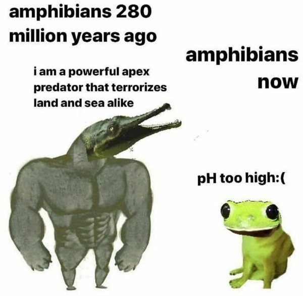 Science Memes (32 pics)