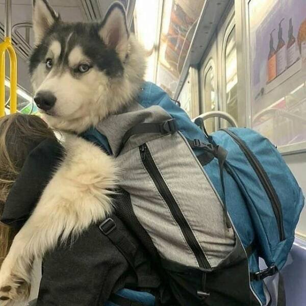 Strange People In The Subway (32 pics)