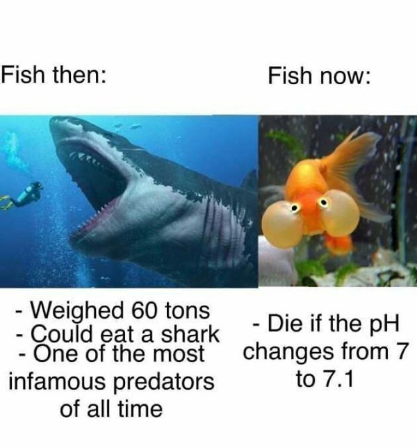 Science Memes (32 pics)