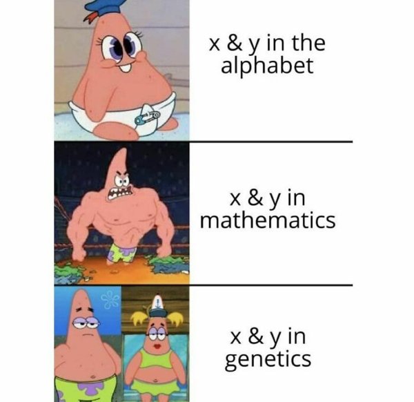 Science Memes (32 pics)