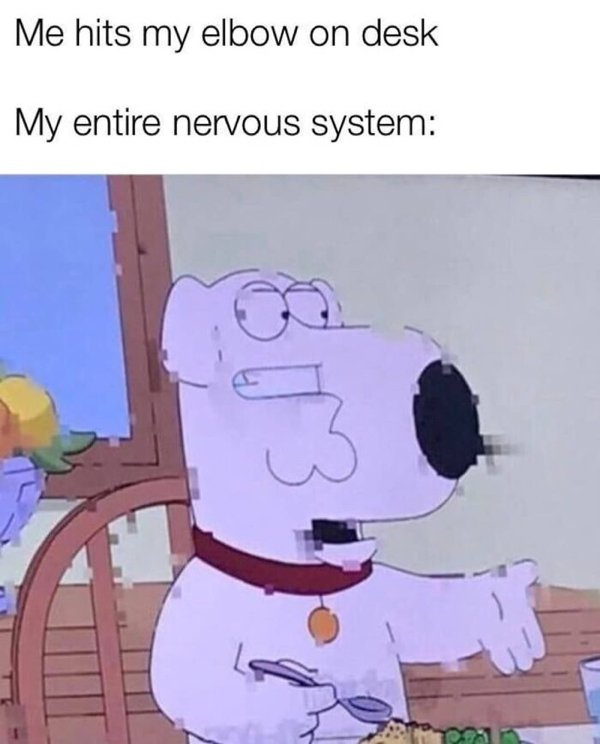 Science Memes (32 pics)
