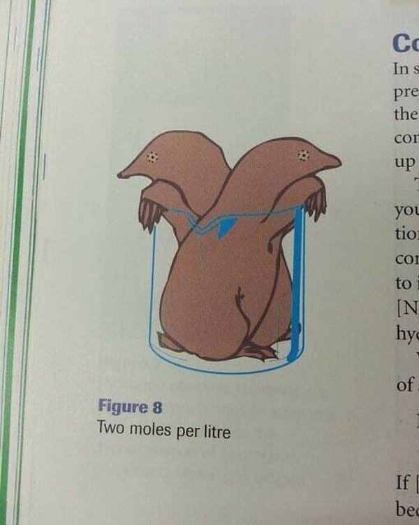 Science Memes (32 pics)