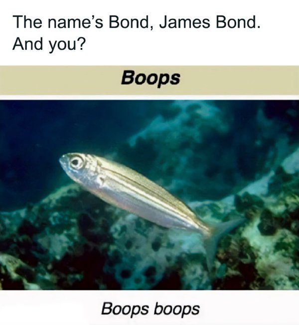 Science Memes (32 pics)
