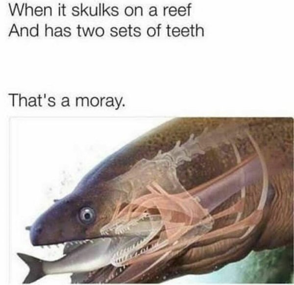 Science Memes (32 pics)