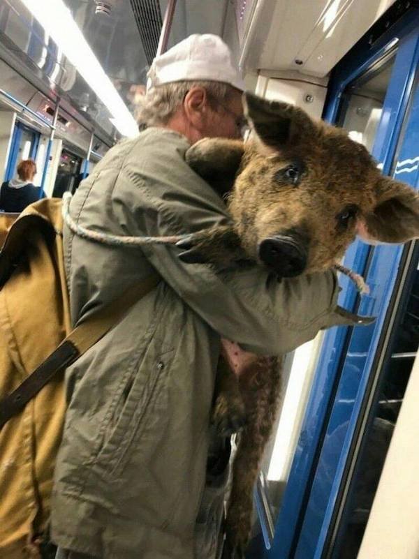 Strange People In The Subway (32 pics)