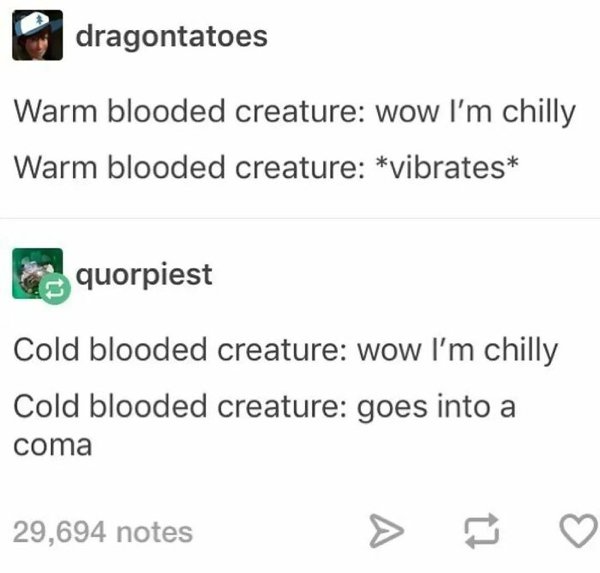 Science Memes (32 pics)