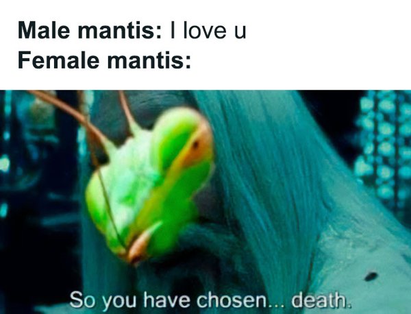 Science Memes (32 pics)