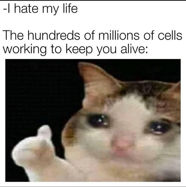 Science Memes (32 pics)