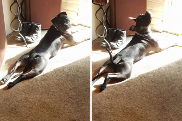 They Love The Sun (30 pics)