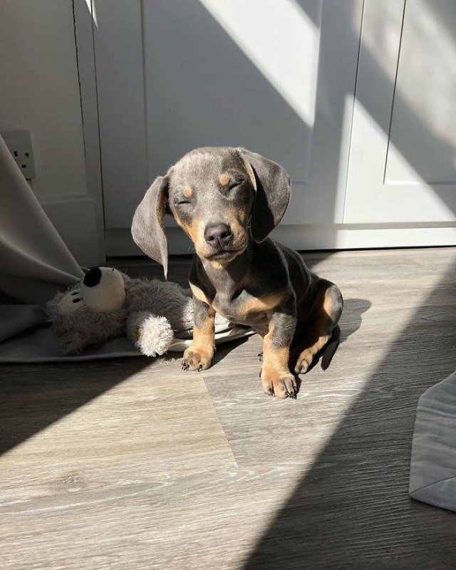 They Love The Sun (30 pics) They Love The Sun (30 pics)