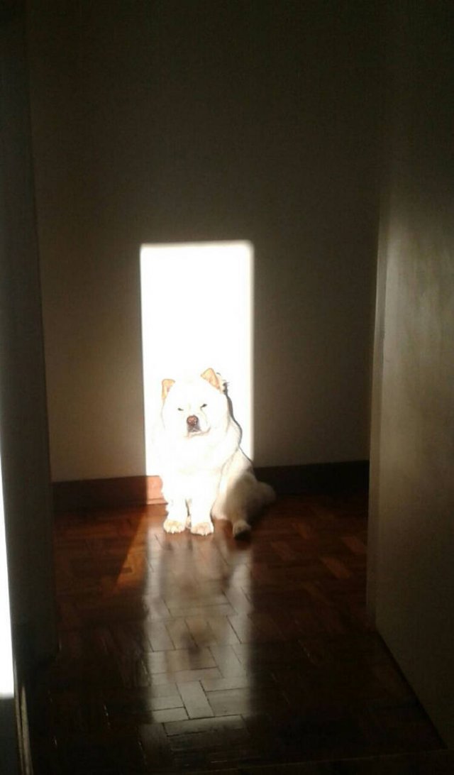 They Love The Sun (30 pics) They Love The Sun (30 pics)