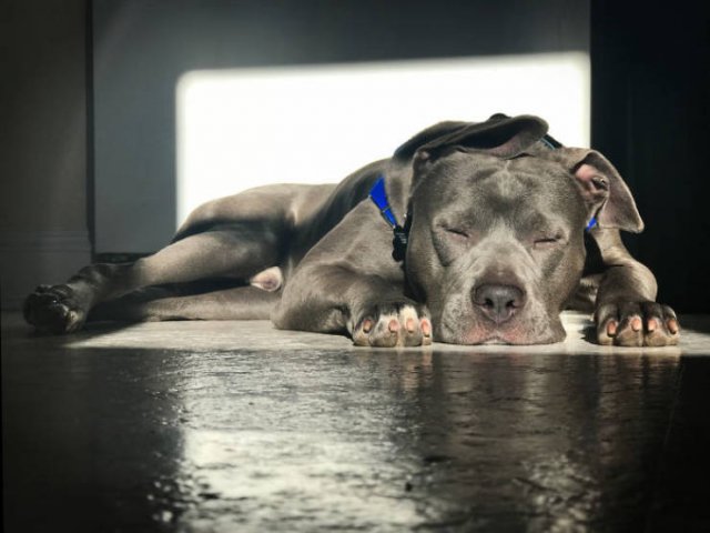 They Love The Sun (30 pics) They Love The Sun (30 pics)