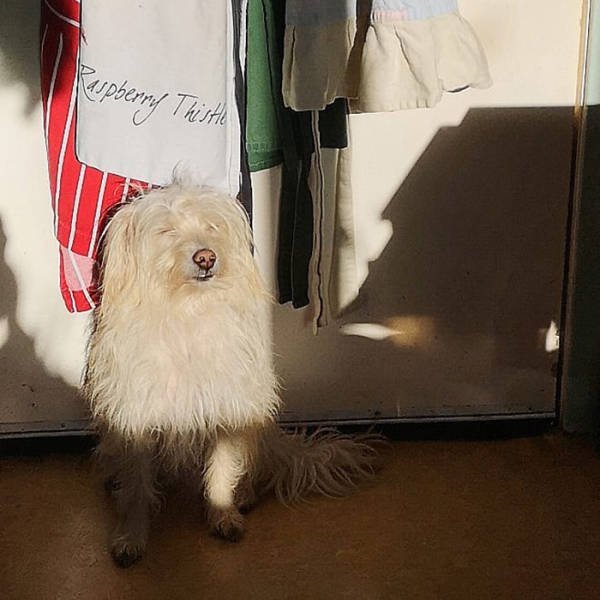 They Love The Sun (30 pics) They Love The Sun (30 pics)