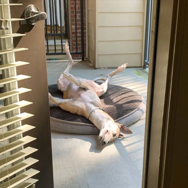 They Love The Sun (30 pics) They Love The Sun (30 pics)