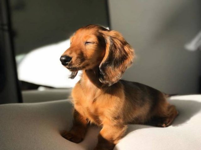 They Love The Sun (30 pics) They Love The Sun (30 pics)