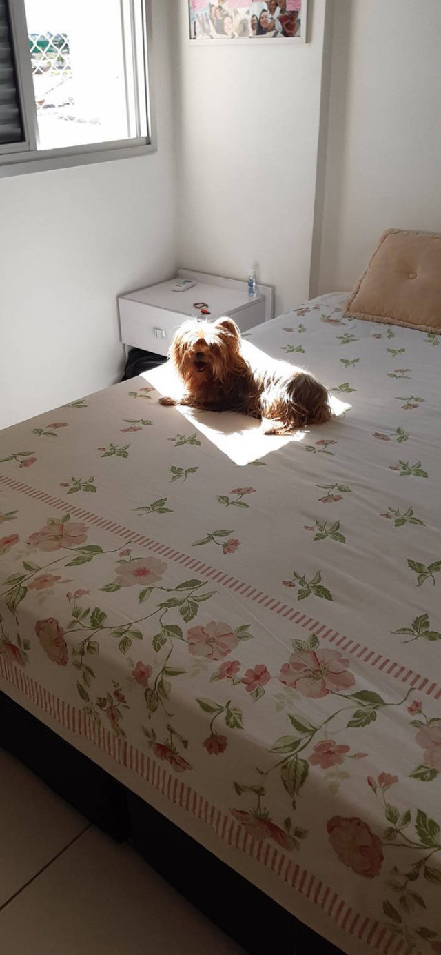 They Love The Sun (30 pics) They Love The Sun (30 pics)