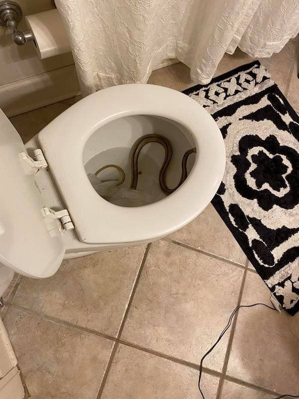 Odd Designs (48 pics)