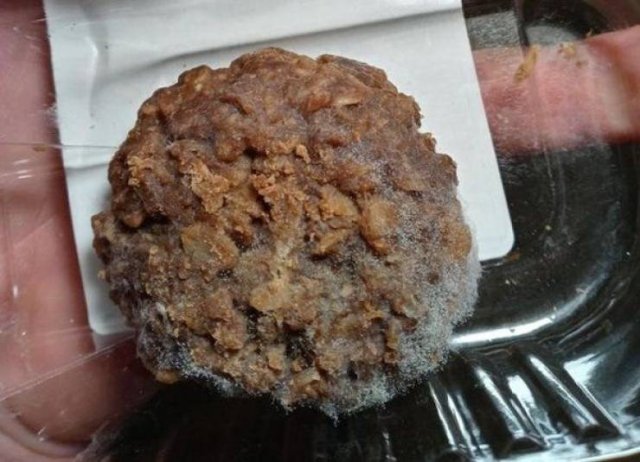 Culinary Fails (20 pics)