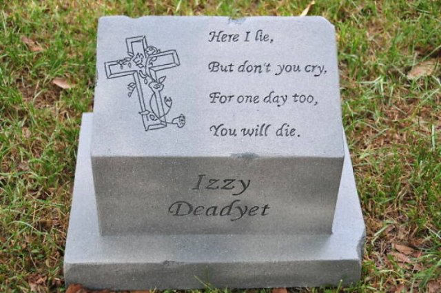 Positive Epitaphs (20 pics)