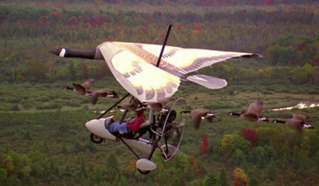Must-Watch Fall Films (25 pics)