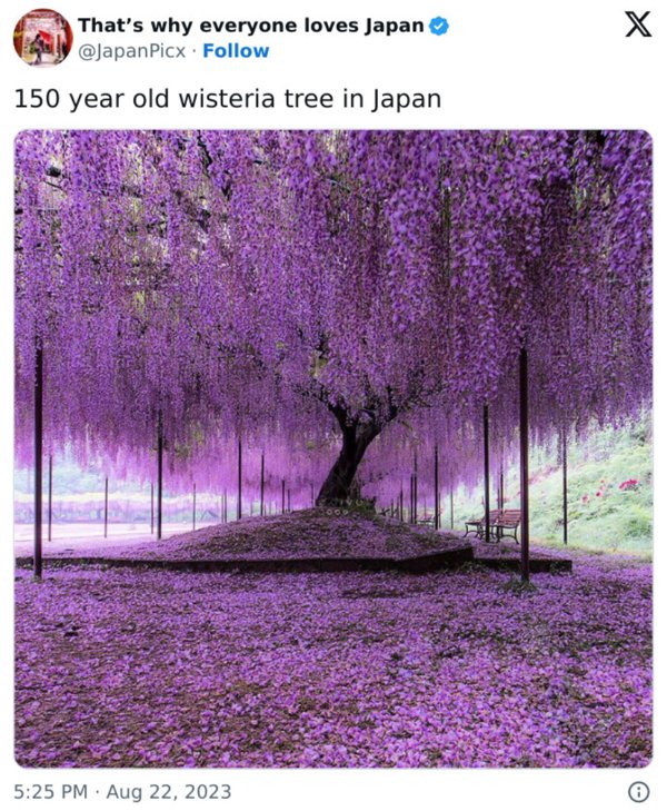 Cool Photos From Japan (26 pics)