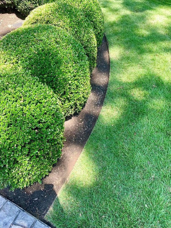 Photos For Perfectionists (24 pics)
