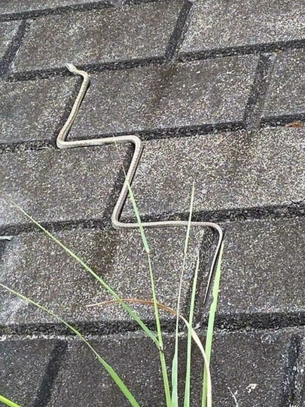 Photos For Perfectionists (24 pics)