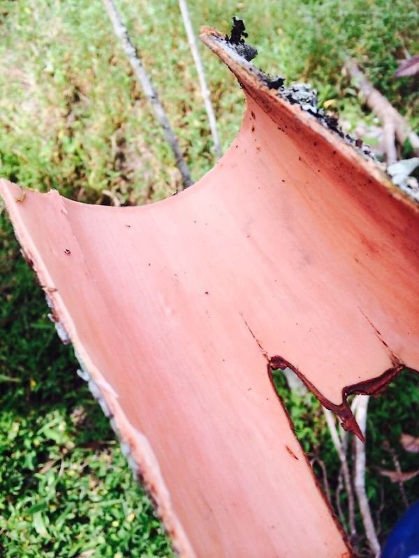 Unusual Finds And Discoveries (30 pics)